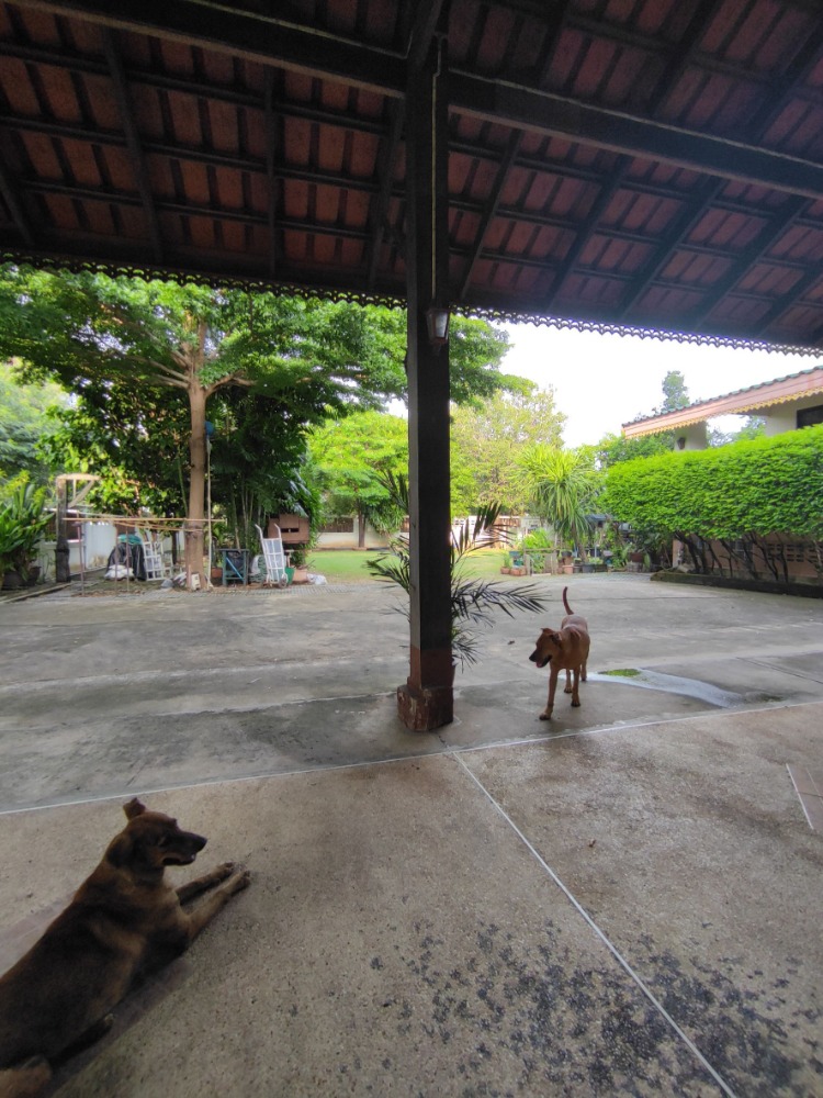 บ้านเดี่ยว รามอินทรา 39 แยก 24 / 5 ห้องนอน (ขาย), Detached House Ramintra 39 Yaek 24 / 5 Bedrooms (FOR SALE) TAN334