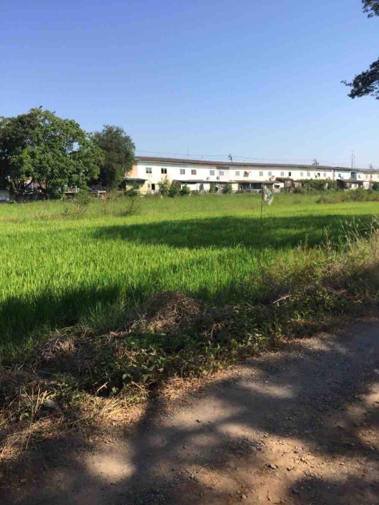 ที่ดิน หนองจอก / 340 ตารางวา (ขาย), Land Nong Chok / 1,360 Square Metre (FOR SALE) COF152