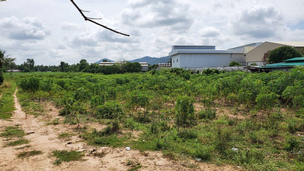 ที่ดิน พัทยา / 32 ไร่ (ขาย), Land Pattaya / 51,200 Sqm (FOR SALE) NUB471