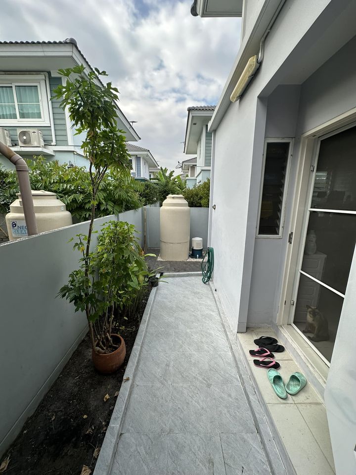 ชัยพฤกษ์ ศรีนครินทร์ / 3 ห้องนอน (ขาย), Chaiyaphruek Srinakharin / 3 Bedrooms (SALE) CJ086