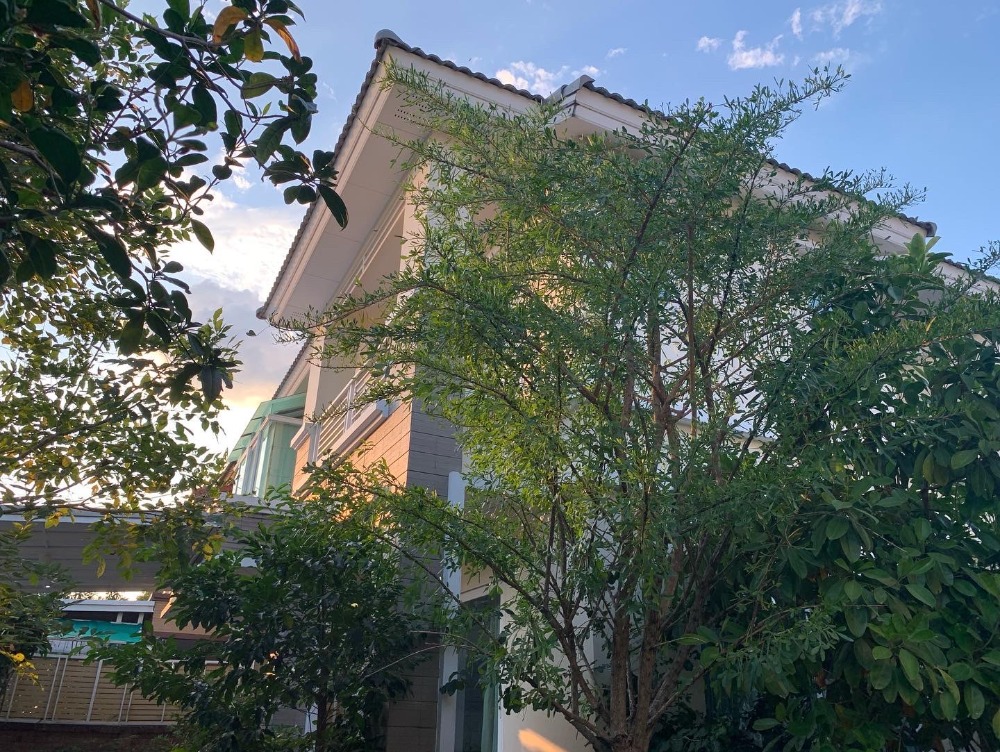 บ้านเดี่ยว คาซ่า แกรนด์ ราชพฤกษ์ - รัตนาธิเบศร์ / 4 ห้องนอน (ขาย), Casa Grand Ratchapruek - Rattanathibet / Detached House 4 Bedrooms (FOR SALE) STONE276