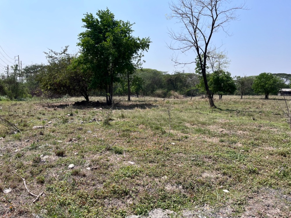 ที่ดินแปลงใหญ่ ติดถนนมิตรภาพ อำเภอแก่งคอย จังหวัดสระบุรี / 22 ไร่ (ขาย), Land near Mittraphap Road / 22 Rai (FOR SALE) PUP159