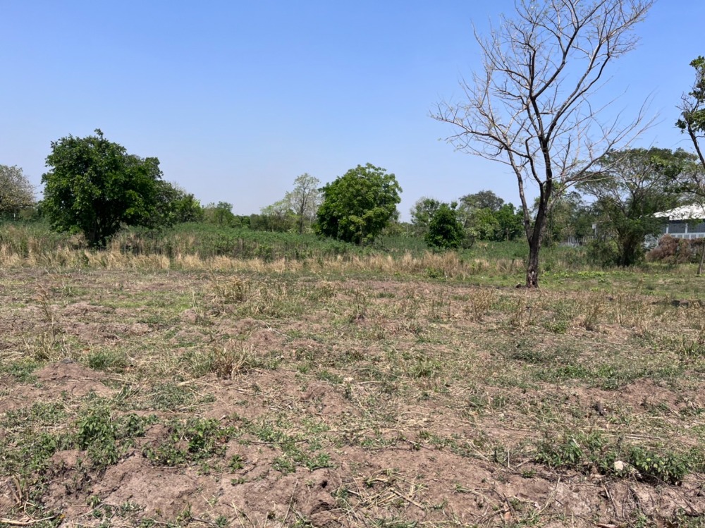 ที่ดินแปลงใหญ่ ติดถนนมิตรภาพ อำเภอแก่งคอย จังหวัดสระบุรี / 22 ไร่ (ขาย), Land near Mittraphap Road / 22 Rai (FOR SALE) PUP159