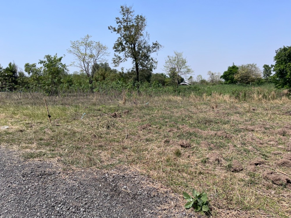 ที่ดินแปลงใหญ่ ติดถนนมิตรภาพ อำเภอแก่งคอย จังหวัดสระบุรี / 22 ไร่ (ขาย), Land near Mittraphap Road / 22 Rai (FOR SALE) PUP159