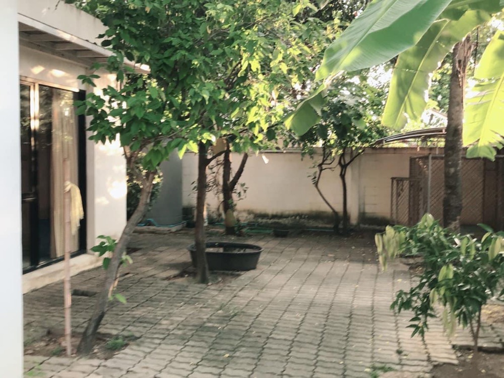 บ้านเดี่ยว ลาดพร้าววังหิน 75 / 3 ห้องนอน (ขาย), Detached House Ladprao Wanghin 75 / 3 Bedrooms (FOR SALE) MEAW223