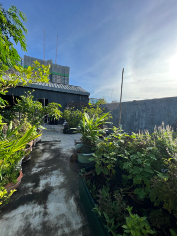 บ้านเดี่ยว ลาดพร้าว ซอย 1 / 5 ห้องนอน (ขาย), Detached House Ladprao Soi 1 / 5 Bedrooms (FOR SALE) HL1310