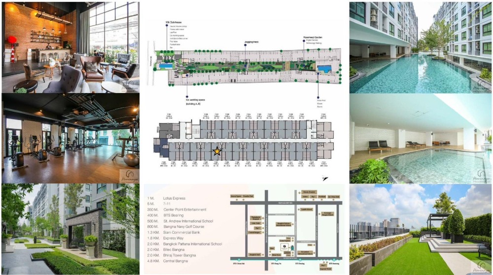 Notting Hill Sukhumvit 105 / Studio (SALE WITH TENANT), น็อตติ้ง ฮิลล์ สุขุมวิท 105 / ห้องสตูดิโอ (ขายพร้อมผู้เช่า) HL1192