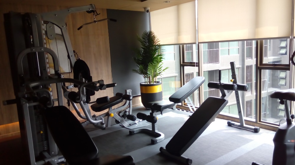 The Tree Sukhumvit 64 / 1 Bedroom (FOR SALE), เดอะทรี สุขุมวิท 64 / 1 ห้องนอน (ขาย) HL1239