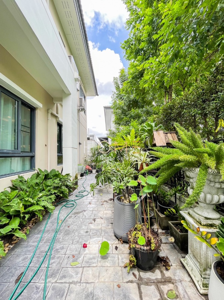 บ้านเดี่ยว เซนโทร อ่อนนุช - สุวรรณภูมิ / 4 ห้องนอน (ขาย), Centro Onnut - Suvarnabhumi / Detached House 4 Bedrooms (FOR SALE) COF388