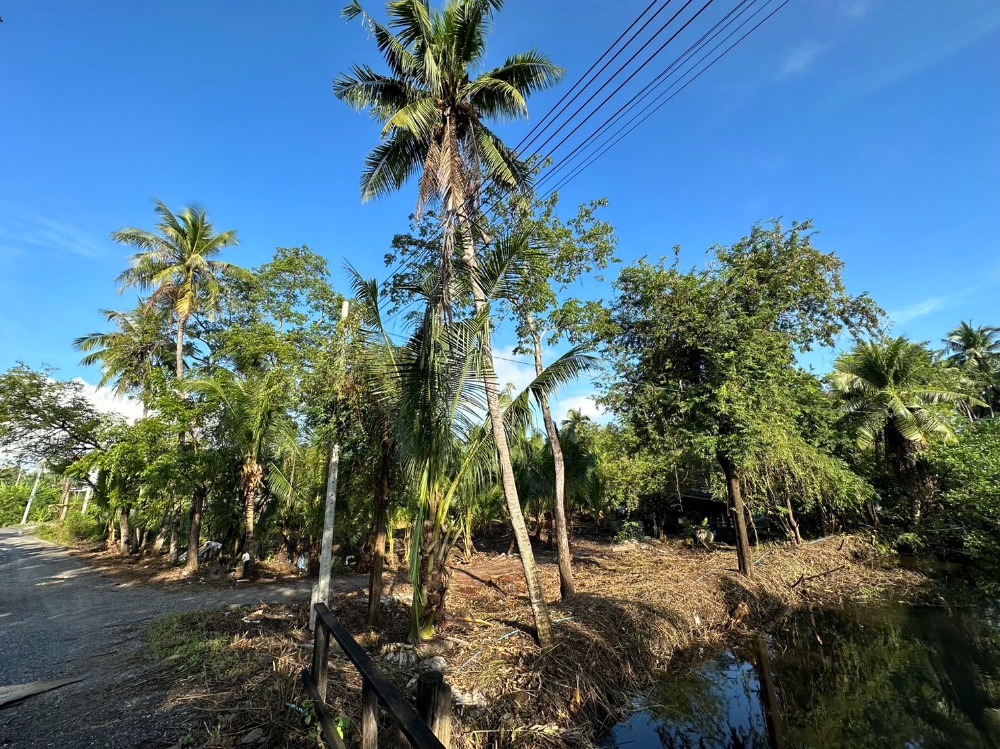 ที่ดิน อนามัยงามเจริญ 25 แยก 2 - 13 / (ขาย), Land Anamai Ngam Charoen 25, Intersection 2 - 13 / (SALE) PUP236