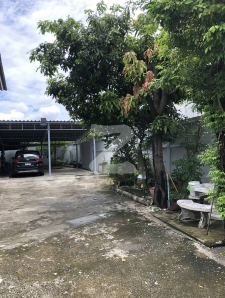 บ้านเดี่ยว แบริ่ง / 4 ห้องนอน (ขาย), Detached House Bearing / 4 Bedrooms (FOR SALE) PUY085