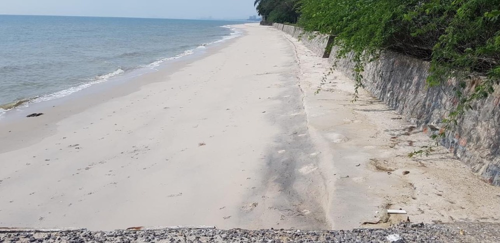 ที่ดิน ติดทะเลหาดชะอำ หัวหิน / 4 ไร่ 2 งาน 11 ตารางวา (ขาย), Beachfront Land Cha Am Hua Hin / 7,244 Square Metre (FOR SALE) COF406