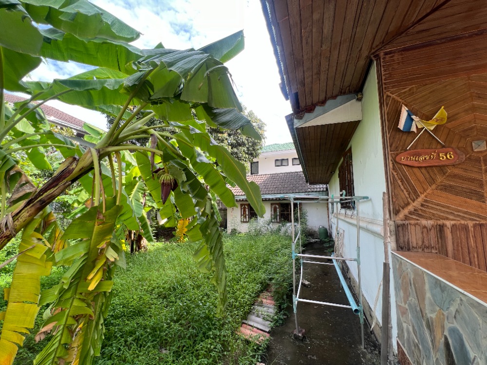 บ้านเดี่ยว บ้านนันทวัน สุขุมวิท 77 / 3 ห้องนอน (ขาย), Nantawan Sukhumvit 77 / Detached House 3 Bedrooms (FOR SALE) PUY150