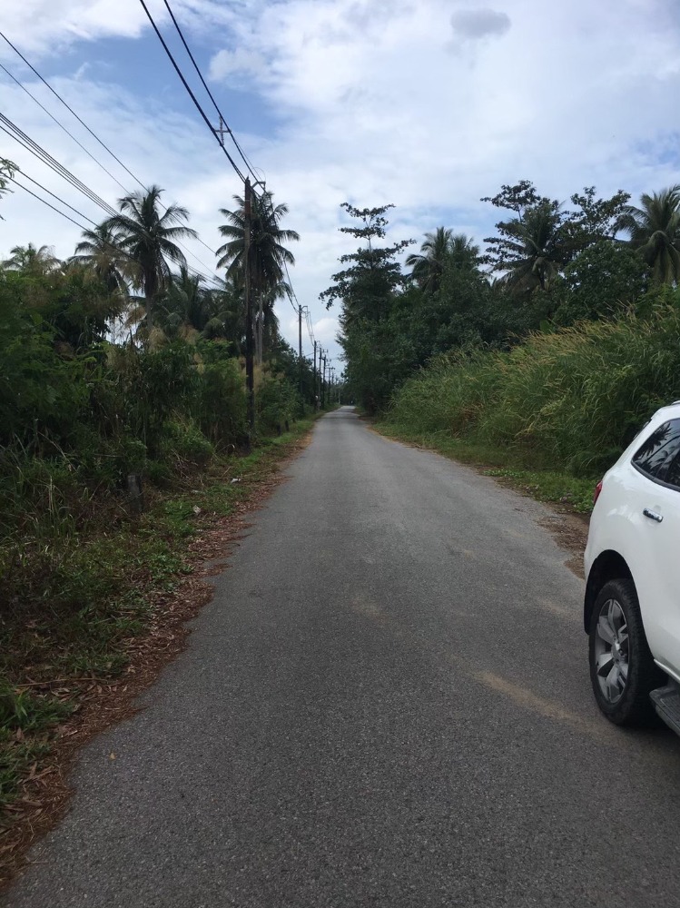 ที่ดินเปล่า ใกล้ทะเล พังงา / 34 ไร่ (ขาย), Land near the Sea Phang Nga / 54,400 Square Metre (FOR SALE) COF040