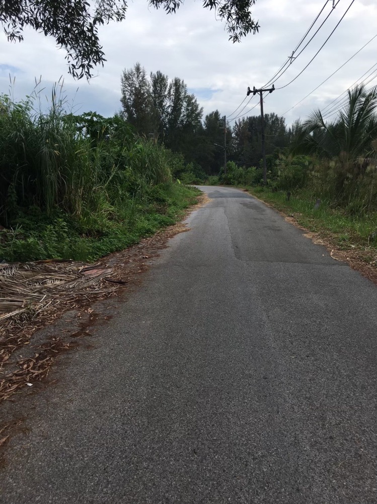 ที่ดินเปล่า ใกล้ทะเล พังงา / 34 ไร่ (ขาย), Land near the Sea Phang Nga / 54,400 Square Metre (FOR SALE) COF040