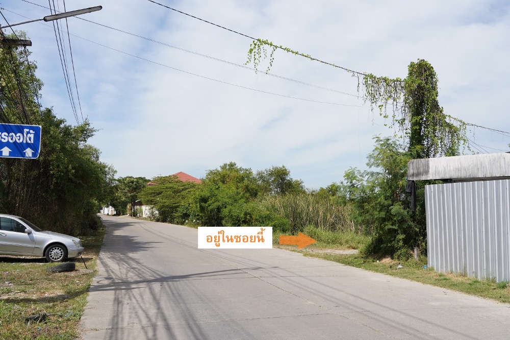 ที่ดิน เลียบคลองประปา / (ขาย), Land along Khlong Prapa / (SALE) GAMET391