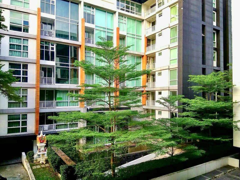 D65 Condominium / 1 Bedroom (SALE WITH TENANT), ดี 65 คอนโดมิเนียม / 1 ห้องนอน (ขายพร้อมผู้เช่า) HL1477