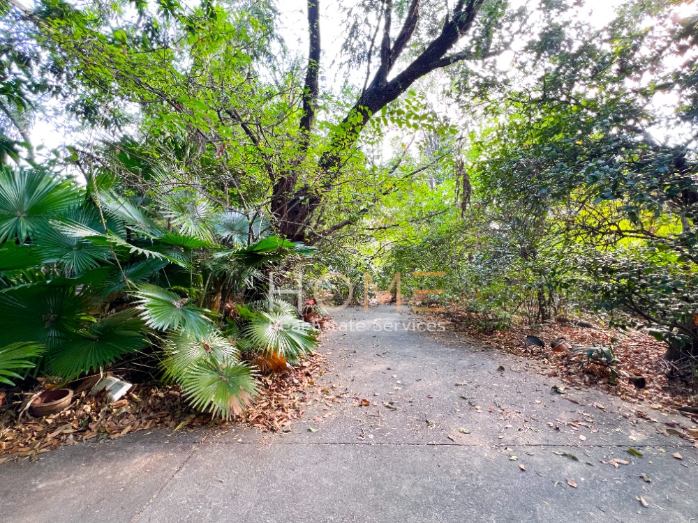 ที่ดินและสิ่งปลูกสร้าง ปุณณวิถี 33 / 323 ตารางวา (ขาย), Land with Building Punnawithi 33 / 1,292 Square Metre (FOR SALE) PUY259