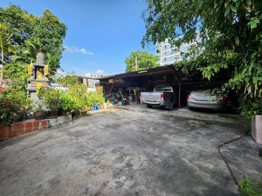 บ้านพร้อมที่ดิน ซอยสุขุมวิท 81 / 69 ตารางวา (ขาย), House with Land Soi Sukhumvit 81 / 276 Square Metre (FOR SALE) PALM770