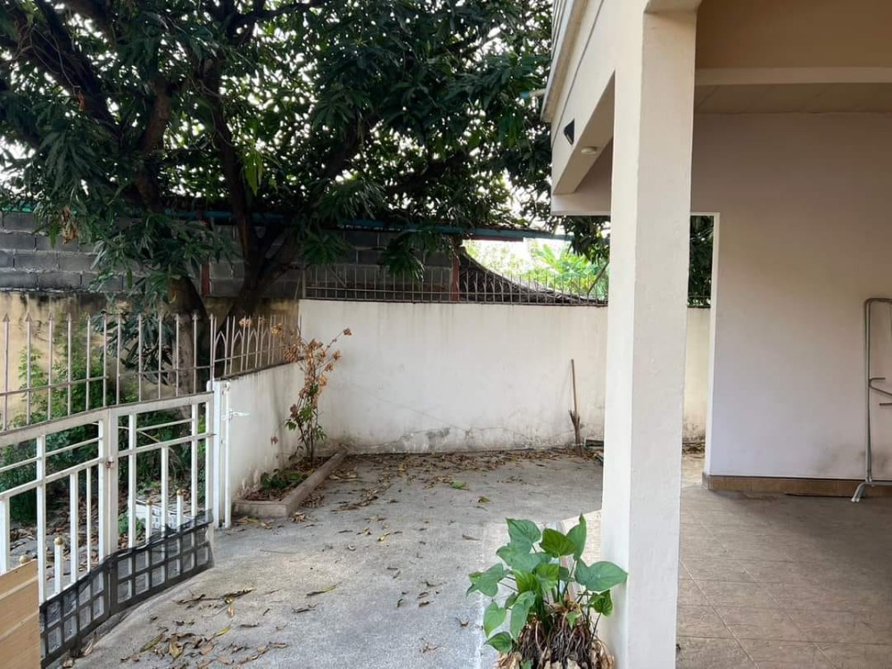 บ้านพิศาล ท่าข้าม / 3 ห้องนอน (ขาย), Ban Phisan Tha Kham / 3 Bedrooms (SALE) DAO008