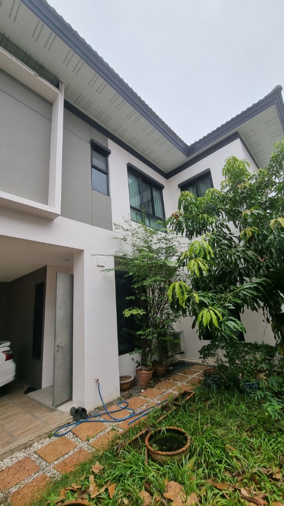 ซีรีน พระราม 2 - ท่าข้าม / 4 ห้องนอน (ขายพร้อมผู้เช่า), Zerene Rama 2 - Tha Kham / 4 Bedrooms (SALE WITH TENANT) DAO014