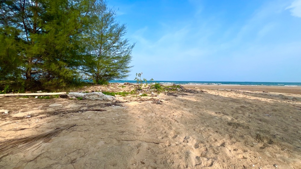 ที่ดินติดทะเล ต.บางสน อ.ปะทิว จ.ชุมพร / (ขาย), Land next to the sea, Bang Son Subdistrict, Pathio District, Chumphon Province / (SALE) DO391