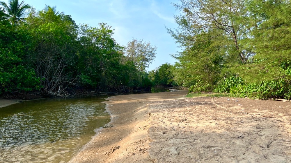 ที่ดินติดทะเล ต.บางสน อ.ปะทิว จ.ชุมพร / (ขาย), Land next to the sea, Bang Son Subdistrict, Pathio District, Chumphon Province / (SALE) DO391