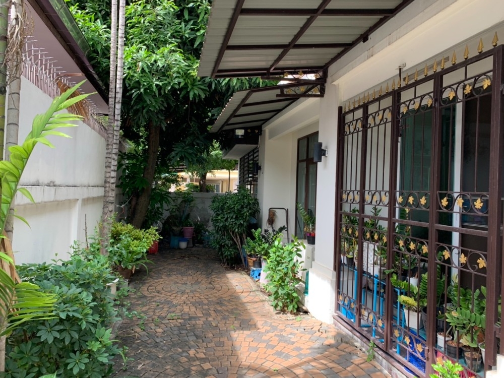 บ้านเดี่ยว อารียา สวนา เกษตร - นวมินทร์ / 4 ห้องนอน (ขาย), Areeya Sawana Kaset - Nawamin / Detached House 4 Bedrooms (FOR SALE) TAN621