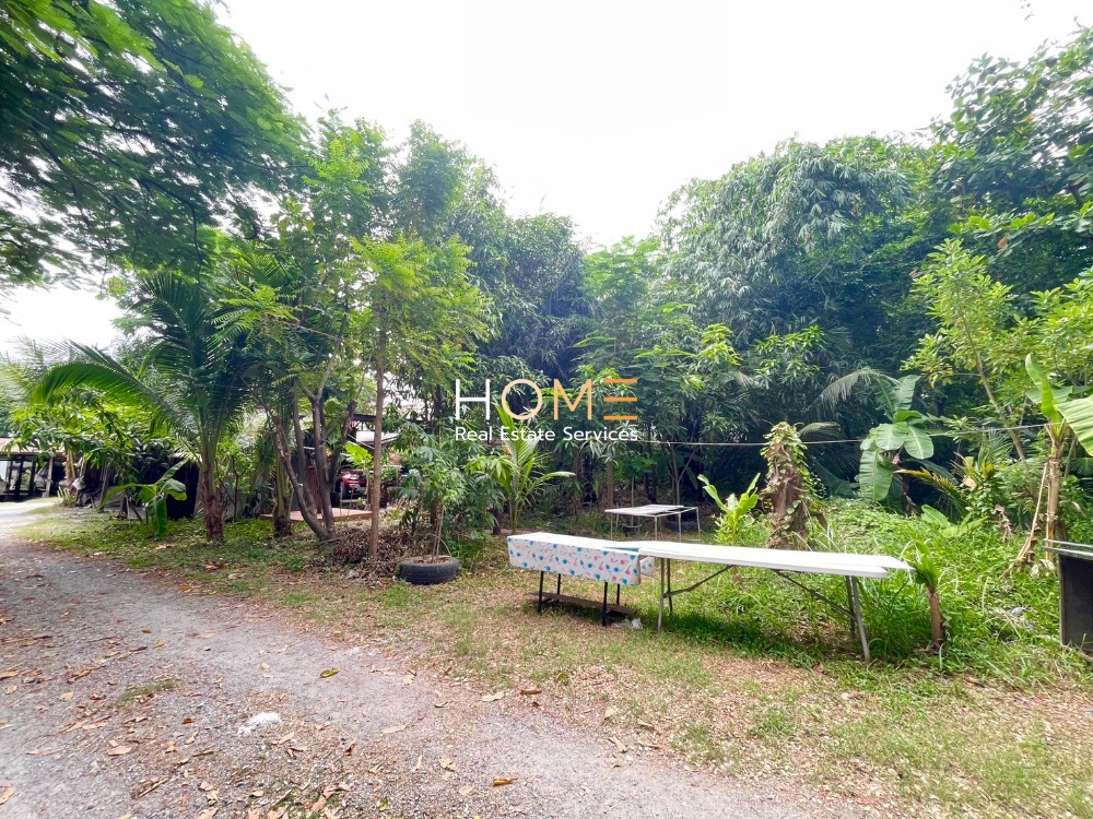 ติดถนนใหญ่ ✨ บ้านเดี่ยว ถนนพุทธมณฑลสาย 1 / 7 ห้องนอน (ขาย), House Phutthamonthon Sai 1 Road / 7 Bedrooms (SALE) MHOW235