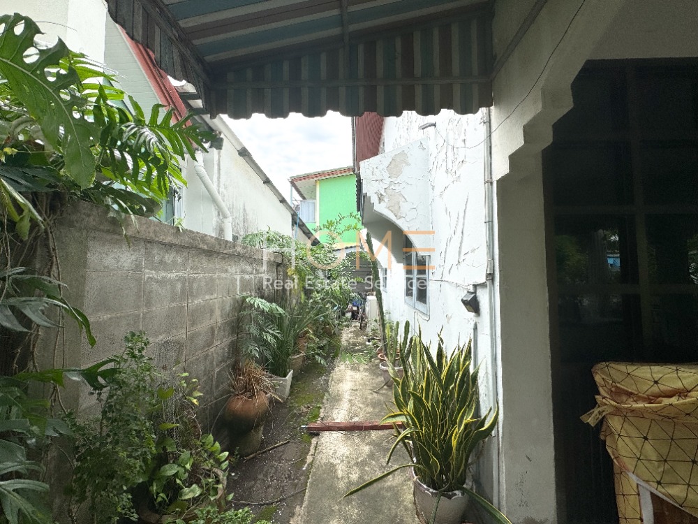 บ้านเดี่ยว ใกล้ทะเล ศรีราชา / 4 ห้องนอน (ขาย), Detached House near the Sea Sriracha / Detached House 4 Bedrooms (FOR SALE) NEWC050