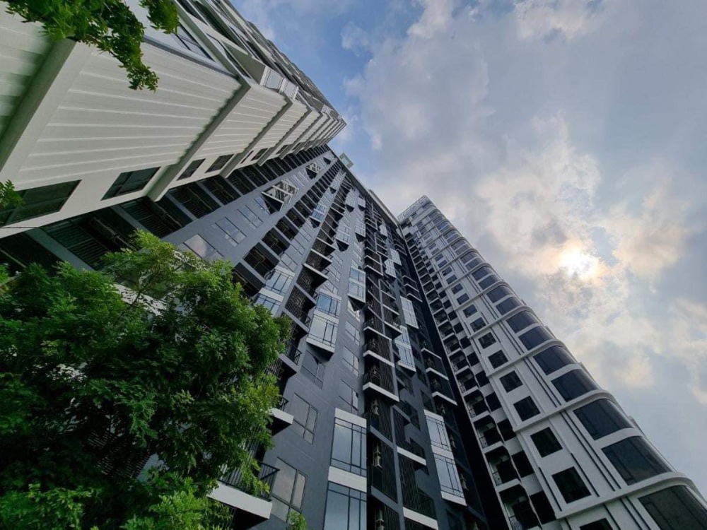 The Tree Pattanakarn - Ekkamai / 1 Bedroom (SALE WITH TENANT), เดอะ ทรี พัฒนาการ - เอกมัย / 1 ห้องนอน (ขายพร้อมผู้เช่า) HL1645