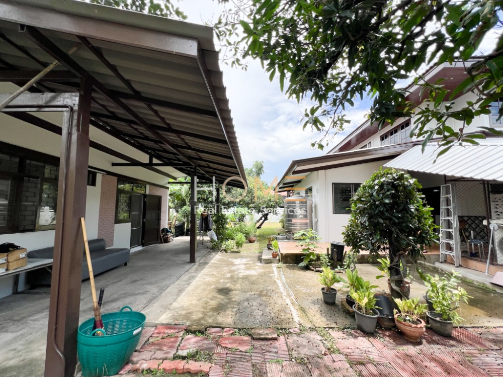 ทำเลดี ใกล้บีทีเอส ✨ บ้านเดี่ยว ซอยปุณณวิถี 31 / 4 ห้องนอน (ขาย), Detached House Soi Punnawithi 31 / 4 Bedrooms (FOR SALE) PUY359