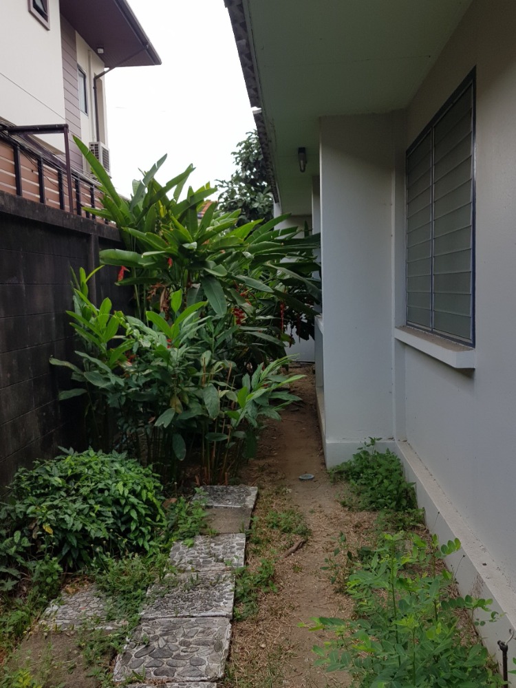 ที่ดินพร้อมสิ่งปลูกสร้าง สุขุมวิท 81 / 357 ตารางวา (ขาย), Land with Building Sukhumvit 81 / 1,428 Square Metre (FOR SALE) PUY367