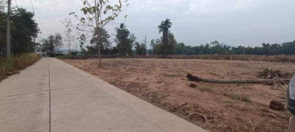 ที่ดิน ใกล้วัดญาณห้วยใหญ่ / 1 ไร่ (ขาย), Land near Wat Yan Huay Yai / 1 Rai (FOR SALE) NEWC130