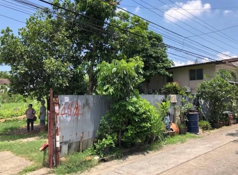 ที่ดิน ซอยปุณณวิถี 37 / 98 ตารางวา (ขาย), Land Soi Punnawithi 37 / 392 Square Metre (FOR SALE) PUY358