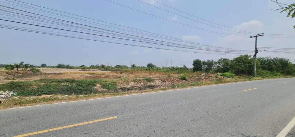 ที่ดิน อมตะนคร / (ขาย), Land Amata Nakhon / (SALE) NEWC142