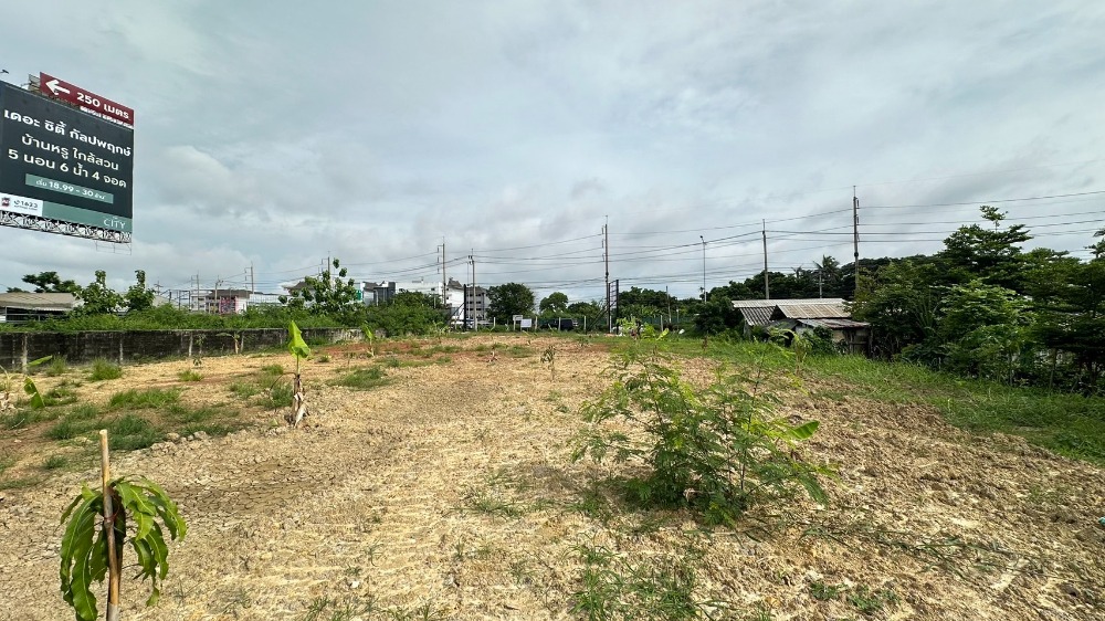 ที่ดิน ติดถนนกัลปพฤกษ์ ฝั่งขาออก / (ขาย), Land next to Kanlapaphruek Road outbound side / (SALE) PUP408