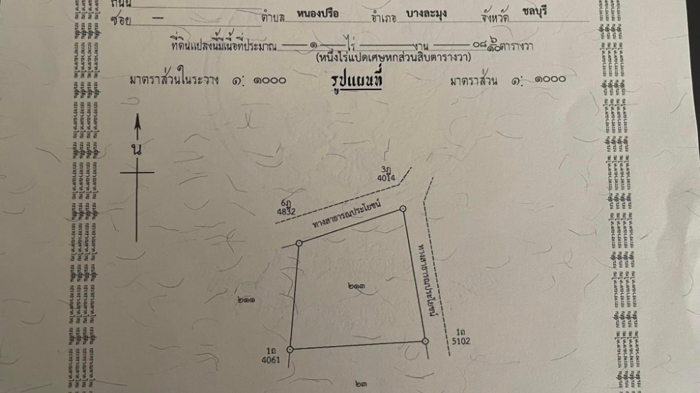 ที่ดิน พร้อมกิจการห้องพักรายวัน พัทยา / 1 ไร่ 8 ตารางวา (ขาย), Land with Daily Rental Business Pattaya / 1 Rai 8 Square Wa (FOR SALE) NEWC208