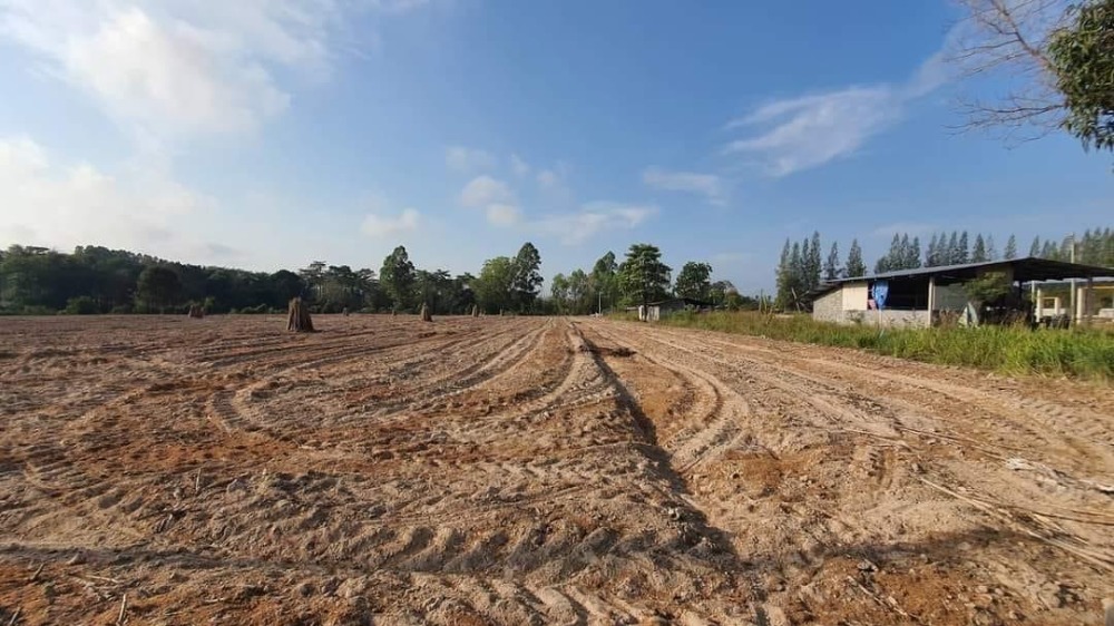 ที่ดิน โป่ง ใกล้ถนนเส้น 36 / 10 ไร่ (ขาย), Land Pong near 36 Road / 10 Rai (FOR SALE) NEWC222