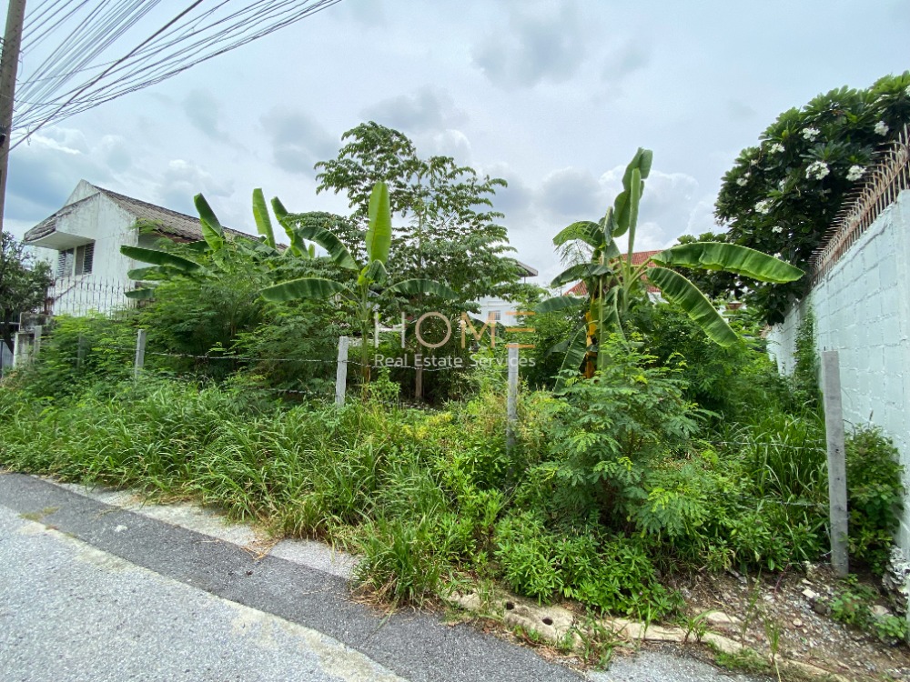 ที่ดินหลังตลาด บองมาเช่ / (ขาย), Land behind Bon Marche Market / (SALE) FAH060