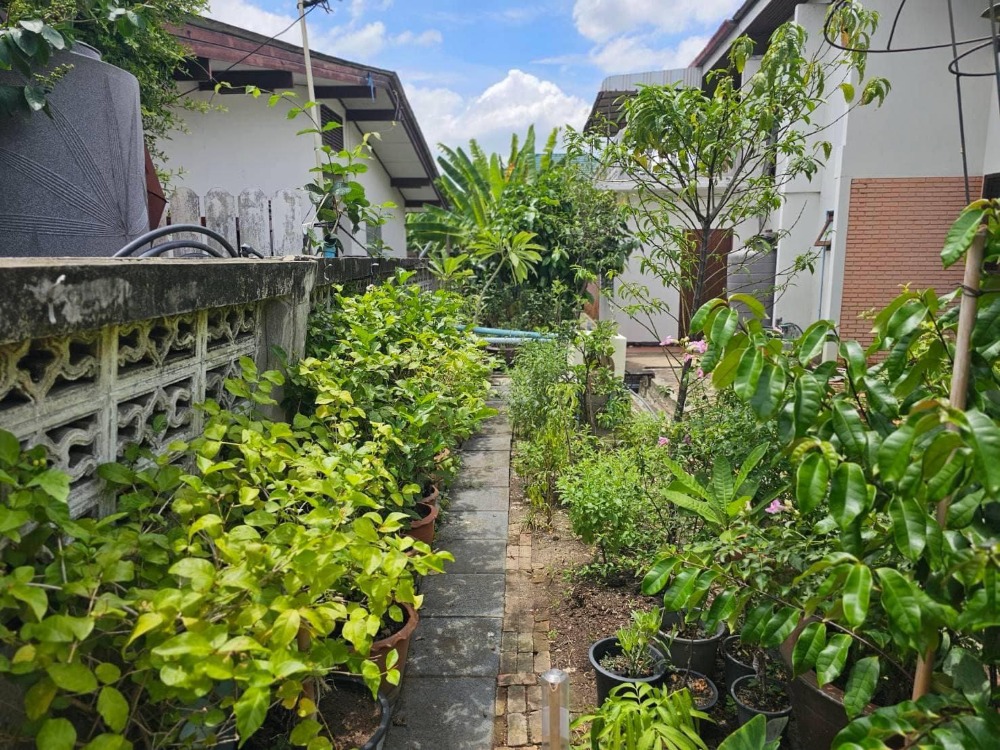 บ้านพร้อมที่ดิน ซ.งามวงศ์วาน 19 / 5 ห้องนอน (ขาย), House Soi Ngamwongwan 19 / 5 Bedrooms (SALE) FAH098