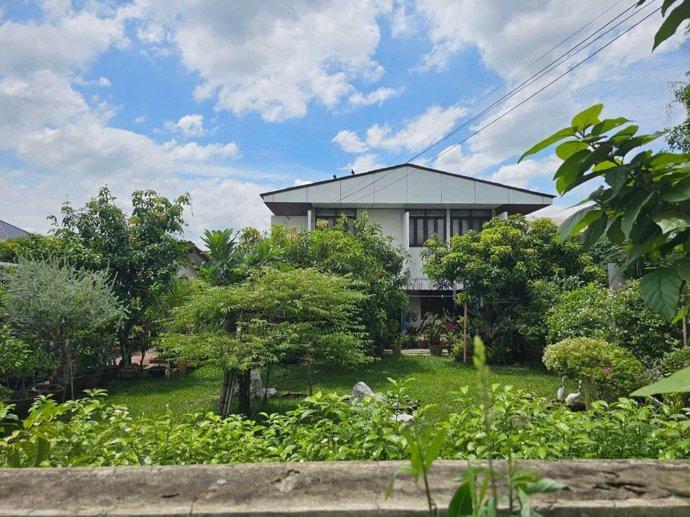 บ้านพร้อมที่ดิน ซ.งามวงศ์วาน 19 / 5 ห้องนอน (ขาย), House Soi Ngamwongwan 19 / 5 Bedrooms (SALE) FAH098