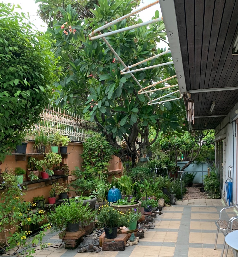 บ้านเดี่ยว ติดถนนบ้านแซ่ พระประแดง / 4 ห้องนอน (ขาย), House next to Ban Sae Road Phra Pradaeng / 4 Bedrooms (SALE) DAO192