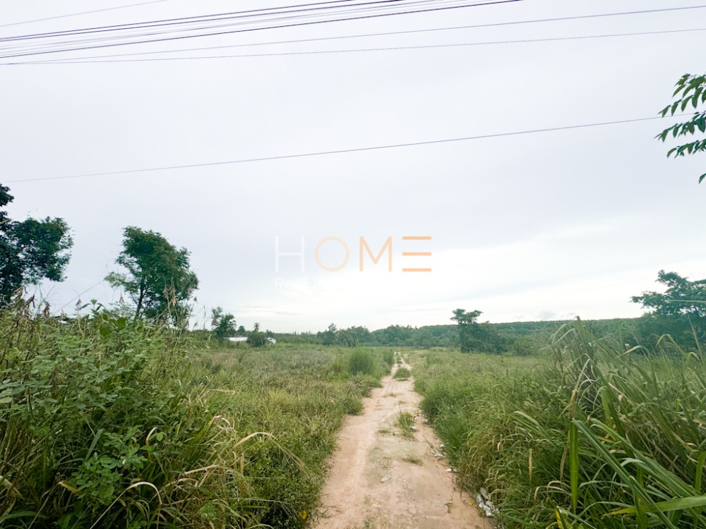 พนานิคม ที่ดินสี่เหลี่ยมพร้อมพัฒนา ✨ ที่ดิน พนานิคม นิคมพัฒนา / (ขาย), Land Phana Nikhom Nikhom Phatthana / (SALE) NEWC246