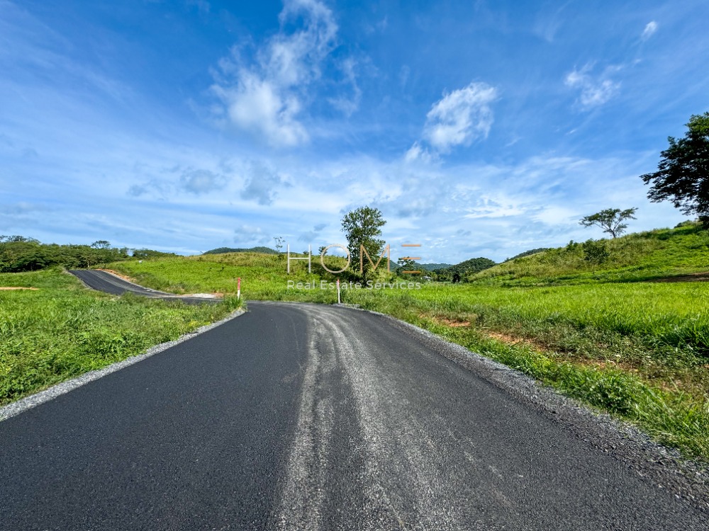 โซนทองหล่อเขาใหญ่ ✨ ที่ดิน ปากช่อง / 106.5 ไร่ (ขาย), Land Pakchong / 106.5 Rai (FOR SALE) COF557