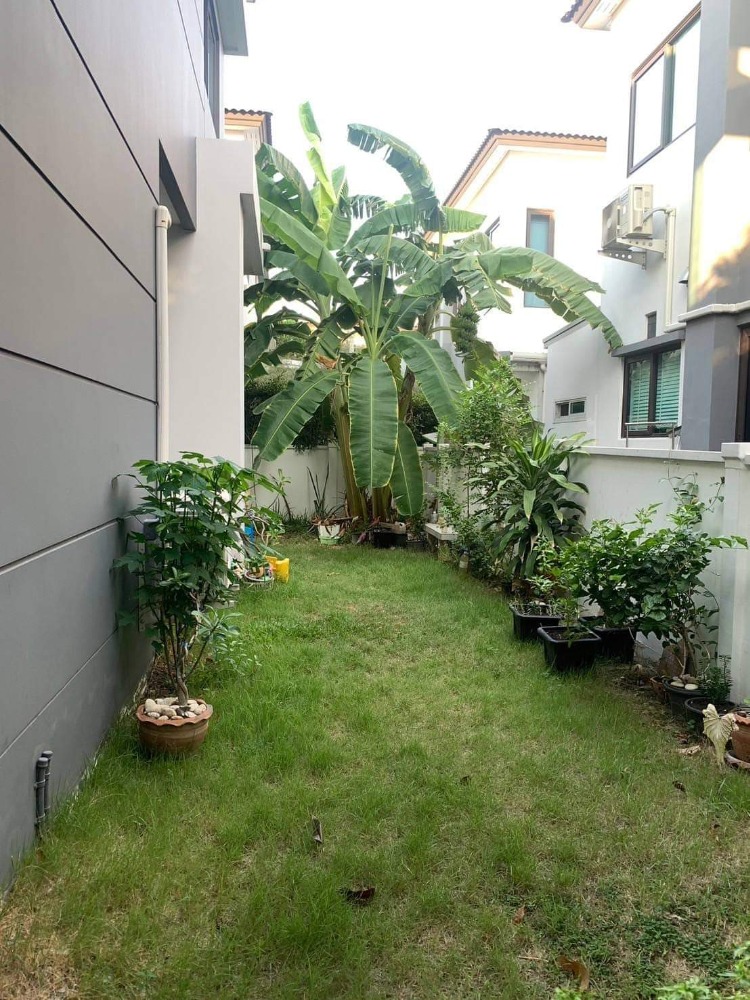 บ้านเดี่ยว เซนโทร รามอินทรา - จตุโชติ / 4 ห้องนอน (ขาย), Centro Ramindra - Chatuchot / Detached House 4 Bedrooms (FOR SALE) TAN685