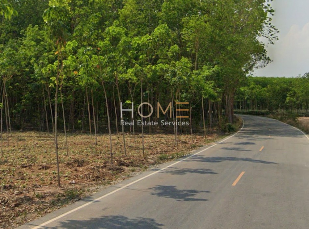 ที่ดิน ตำบลน้ำคอก ระยอง / (ขาย), Land Nam Khok Subdistrict Rayong / (SALE) NEWC276