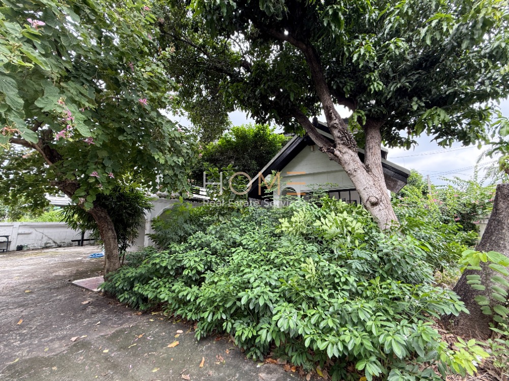 บ้านเดี่ยว เสนานิคม 1 / 3 ห้องนอน (ขาย), Detached House Senanikom 1 / 3 Bedrooms (FOR SALE) MEAW540