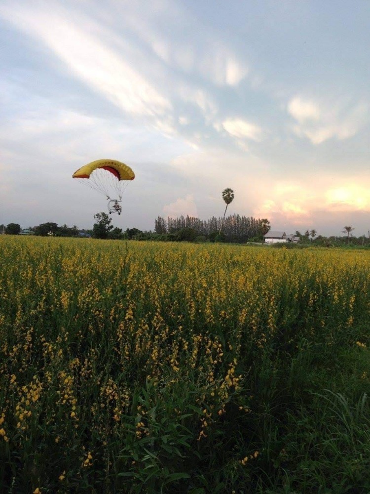 ที่ดิน หนองรี / (ขาย), Land Nong Ri / (SALE) AA017