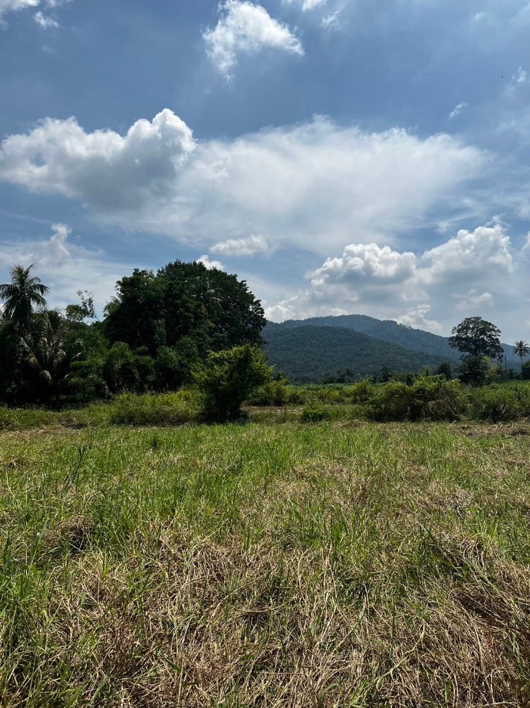 ที่ดิน หนองรี / (ขาย), Land Nong Ri / (SALE) AA017